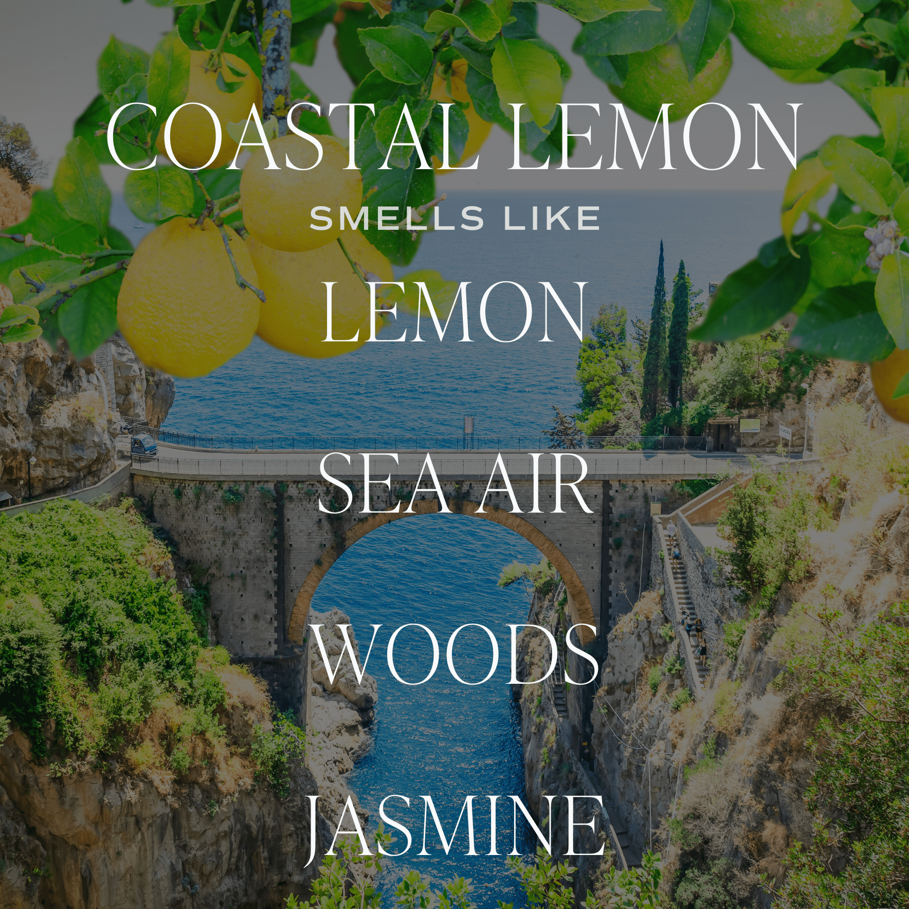 Coastal Lemon 12 oz Candle - HER Home Design Boutique